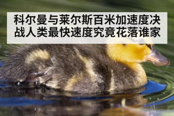 科尔曼与莱尔斯百米加速度决战人类最快速度究竟花落谁家